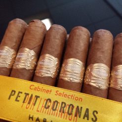 20 por larranaga petit coronas out of box full