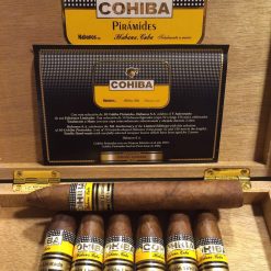 Cohiba Piramides Limited Edition 2006