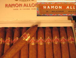 Ramon Allones Belicosos 5 Ramon Belicosos