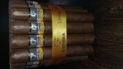 Cohiba Siglo VI 31 cohiba siglo vi 1492 2.jpg