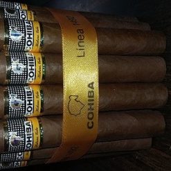 cohiba siglo vi 1492 2.jpg