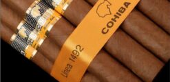 Cohiba Siglo VI 22 cohiba siglo vi 1492