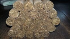 Cohiba Siglo VI 28 cohiba siglo vi 1492 4