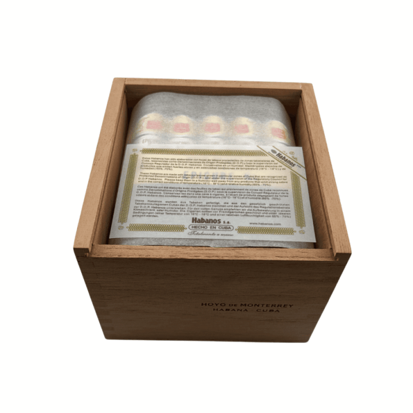 Hoyo De Monterrey Epicure No.2