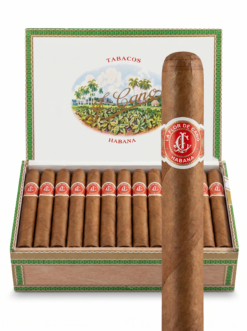 La Flor De Cano Corona
