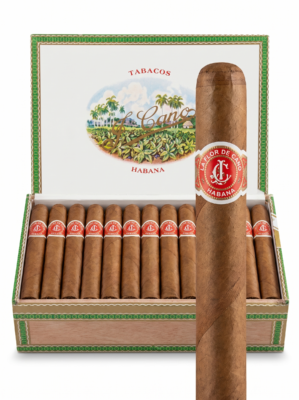 La Flor De Cano Corona