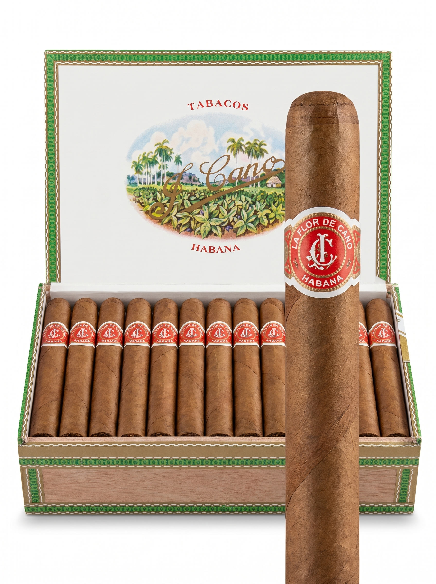 La Flor De Cano Corona