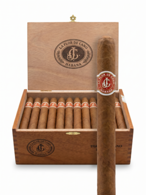 La Flor De Cano Diademas