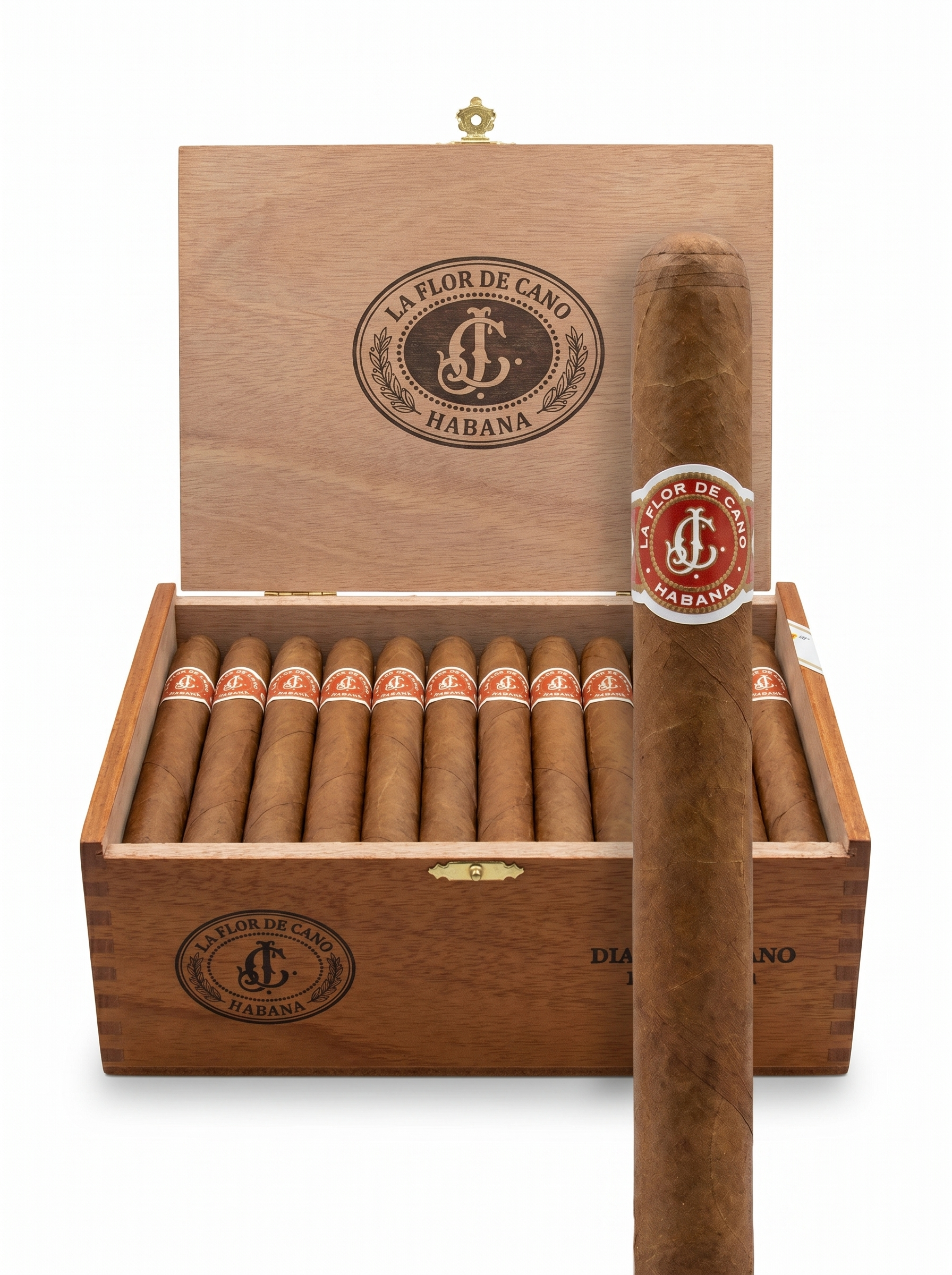 La Flor De Cano Diademas