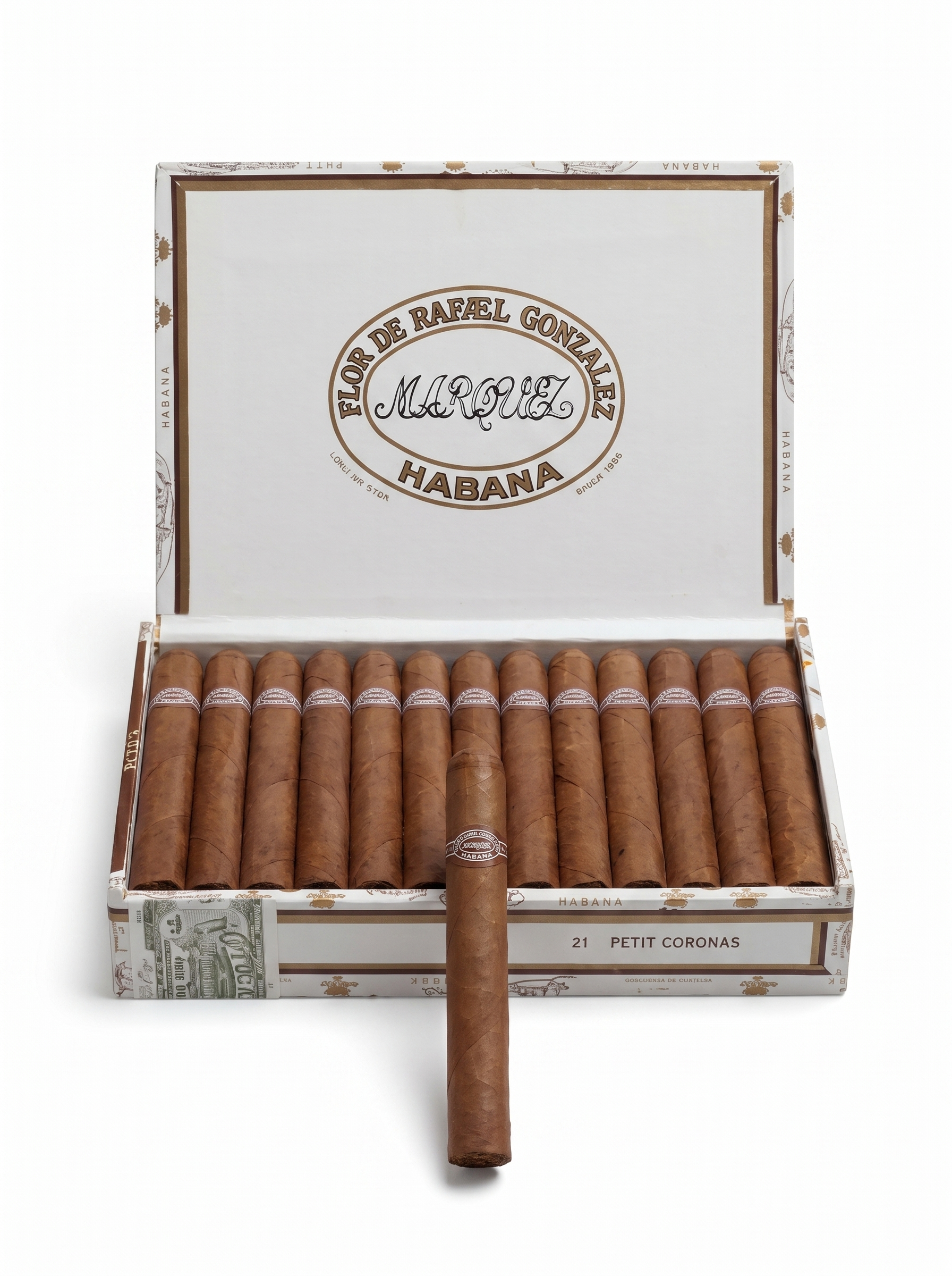 Rafael Gonzales Pettit Coronas