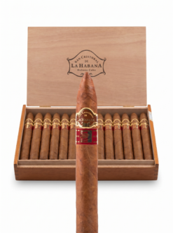 San Cristobal La Muralla Casa Del Habano