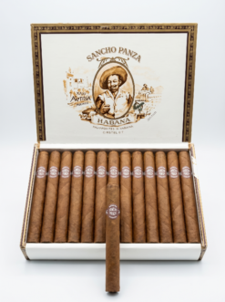 Sancho Panza Molinos