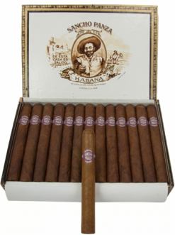 Sancho Panza Non Plus