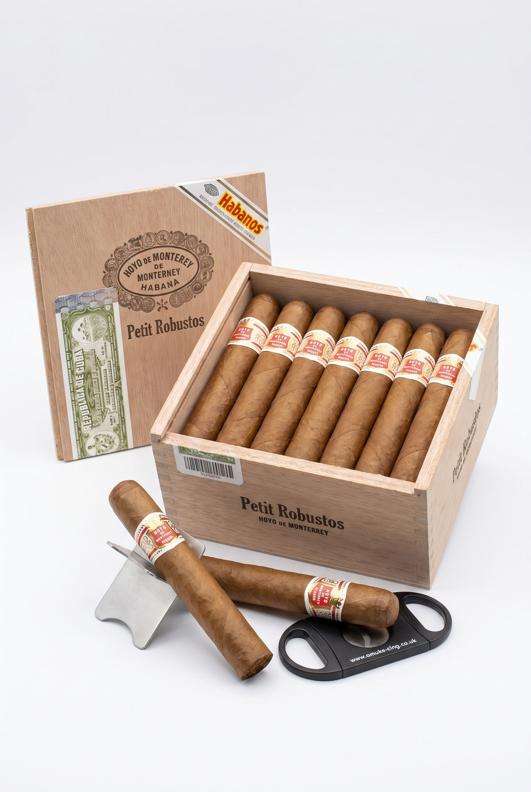 Hoyo de Monterrey Petit Robustos