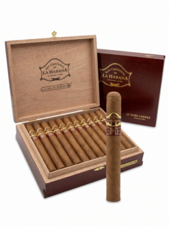 San Cristobal de la Habana Mercaderes Casa del Habano