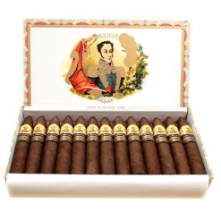 bolivar petit belicosos large 1