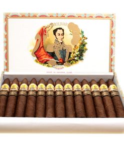 bolivar petit belicosos large 1