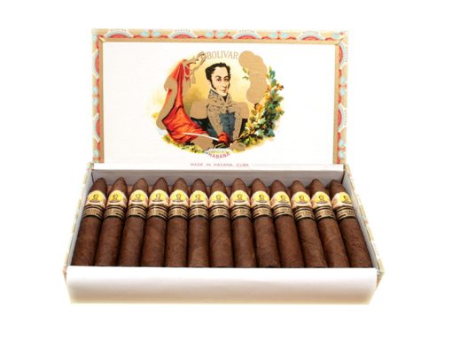 bolivar petit belicosos large 1