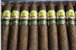 Bolivar Petit Belicosos 2009 Limited Edition 7 bolivar pettit belicosos limited edition 2009