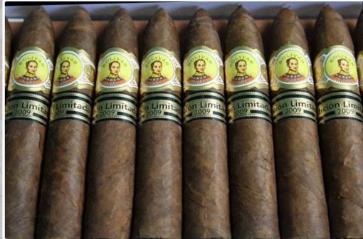 bolivar pettit belicosos limited edition 2009