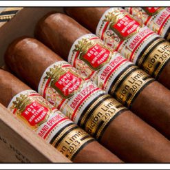 hoyo de monterrey grand epicure 1