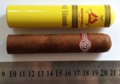 Montecristo Petit Edmundo Tubos Cigar