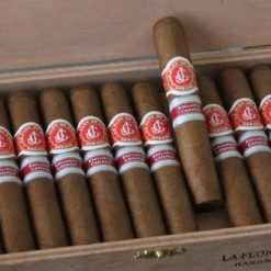 La Flor De Cano Siboney