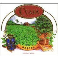 Cuaba Logo