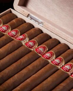 H. Upmann Sir Winston 7 H Upmann Sir Winston 1