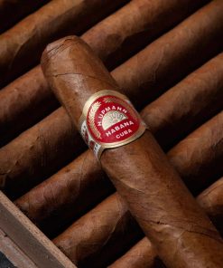 H Upmann Sir Winston 2