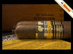 Cohiba Talismán 2017 Limited Edition in London 9 Cohiba Talismán 2017 Limited Edition in London