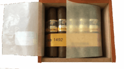 medio siglo 1