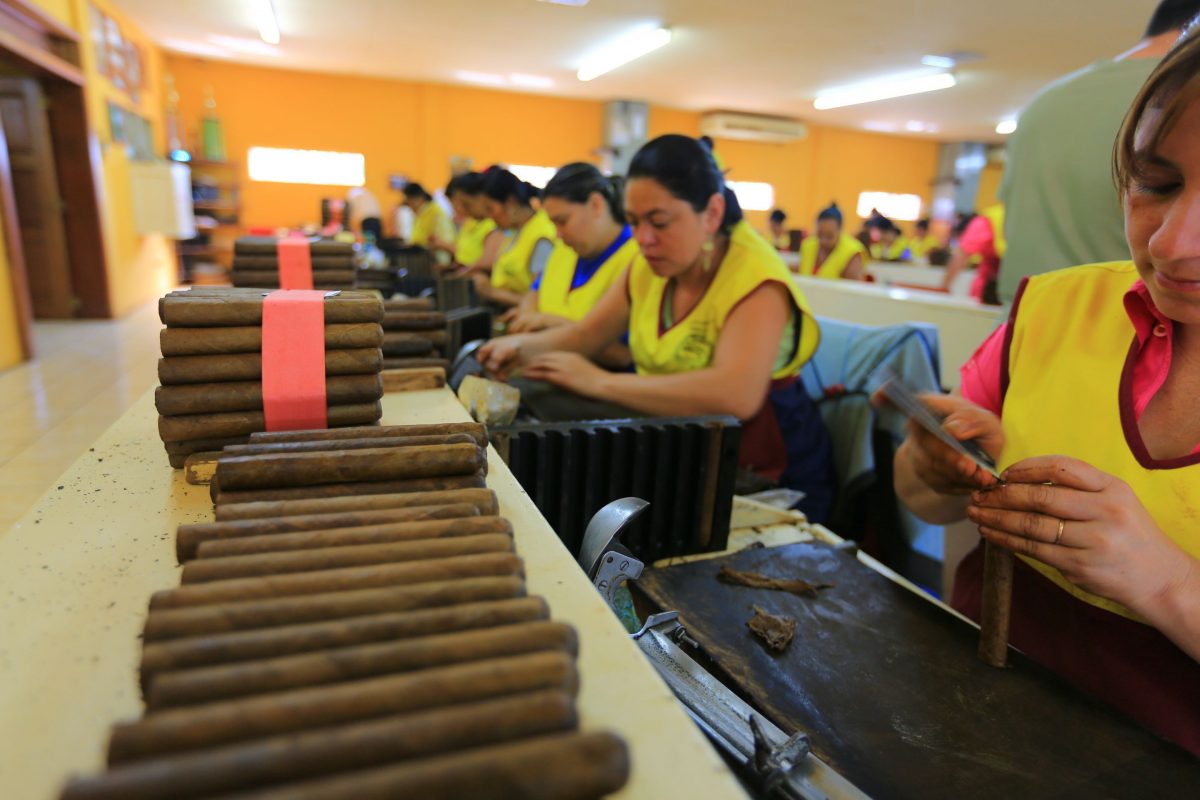 Cuban Cigars Quality Control