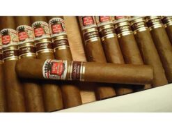 Hoyo de Monterrey Hermosos No. 4 Anejados 9 Hoyo de Monterrey Hermosos N 4 Anejados