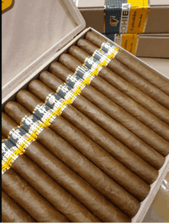 Cohiba Esplendido 7 Captura de pantalla 2024 02 17 115533