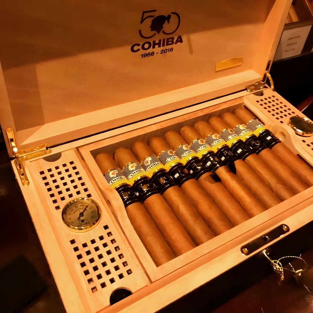 cohiba majestuosos humidor