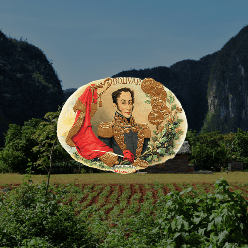 Bolívar Cuban Cigars