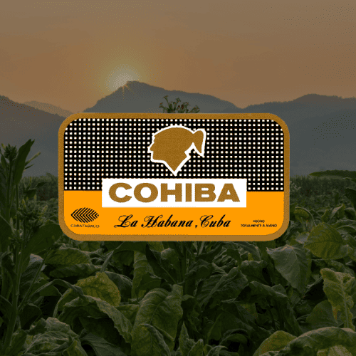Cohiba Cuban Cigars