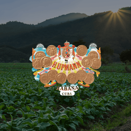 H. Upmann Cuban Cigars