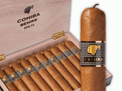 Cohiba Behike 54 BHK 16 Cohiba Behike 54 opened box 10 and 1 stick side web4