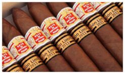 Hoyo de Monterrey Short Hoyo Piramides 2011 LE 5 Edicion Limitada 2011 Hoyo de Monterrey Short Hoyo Piramides Cigars 2