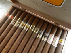 Mixed box of 25 Cuban Cigars Double Coronas 8 Double Corona Mix2 scaled