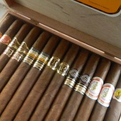 Double Corona Mix2 scaled