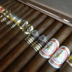 Double Corona Mix3 scaled