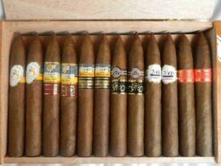 Mixed Box of 25 Cuban Cigars Pyramids 23 COHIBA PIRAMIDES 10