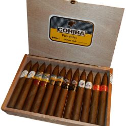 Mixed Box of 25 Cuban Cigars Pyramids