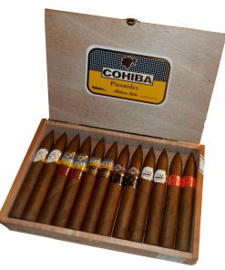 Mixed Box of 25 Cuban Cigars Pyramids