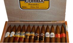 Mixed Box of 25 Cuban Cigars Pyramids 14 COHIBA PIRAMIDES 21