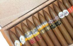 Mixed Box of 25 Cuban Cigars Pyramids 19 COHIBA PIRAMIDES 61