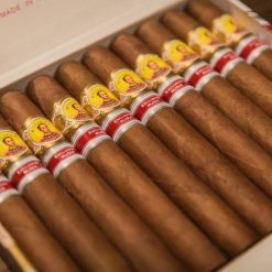 Bolilvar Double Corona Reagional Edition